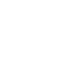 dr mohamed elemam