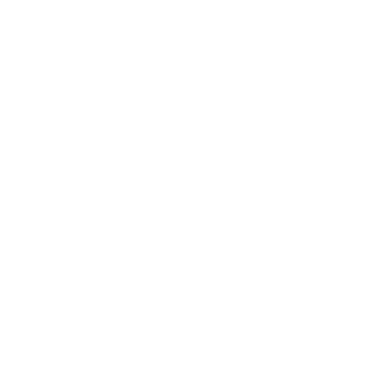 rameer