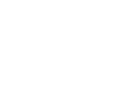wizerd